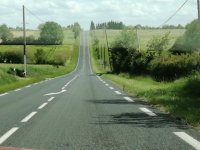 IMG_20210521_160415.jpg