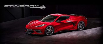 2020 Stingray.jpg