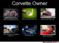 What Corvette owners actually do.jpg