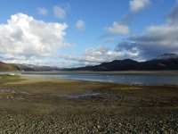 DSCF1095.JPG