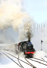 78019-In-the-snow-in-February-2012-Alan-Weaver.jpg