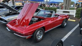 IMG_8446.jpeg