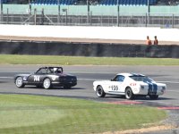 DSC_5319.JPG