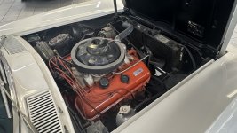 IMG_8601.jpeg