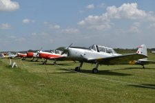 DSC_5415.JPG