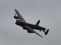 DSC_5547.JPG