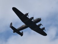 DSC_5549.JPG