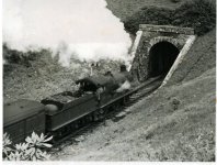 1990.1892-Loco-entering-Venn-Cross-tunnel-on-TivertonBarnstaple-line-c.1962-scaled.jpg