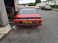 IMG_0398.jpeg