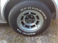 IMG_1033.jpeg