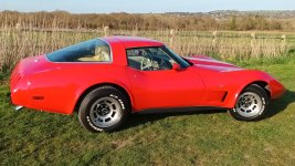 vette3.jpg