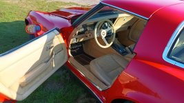 vette4.jpg