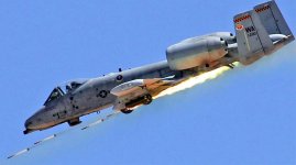 Warthog.jpg
