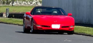 IMG_7495.jpeg
