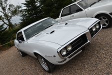 DSC_5975.JPG