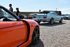 DSC_6208.JPG