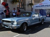 DSC_6334.JPG
