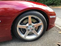IMG_7267.jpeg