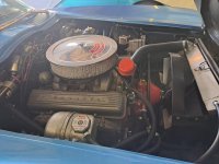 vette23.5.jpg vette23.5.jpg