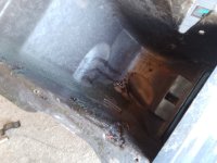 IMG_20260321_144319_893.jpg IMG_20260321_144319_893.jpg