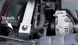 IMG_9674.jpg IMG_9674.jpg