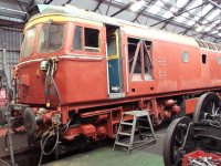 D6535 undercoat.JPG