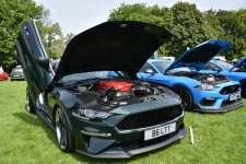 DSC_6767.JPG