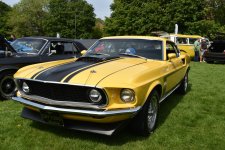DSC_6765.JPG
