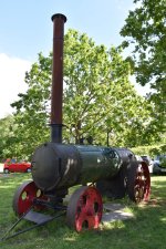 DSC_6810.JPG