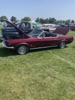 IMG_1305.jpeg