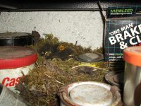 DSCF5188.JPG
