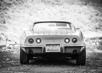 Zoom_BillsB&W-167.jpg