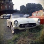 IMG_4579.jpeg