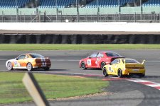 DSC_7667.JPG