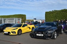 DSC_7755.JPG