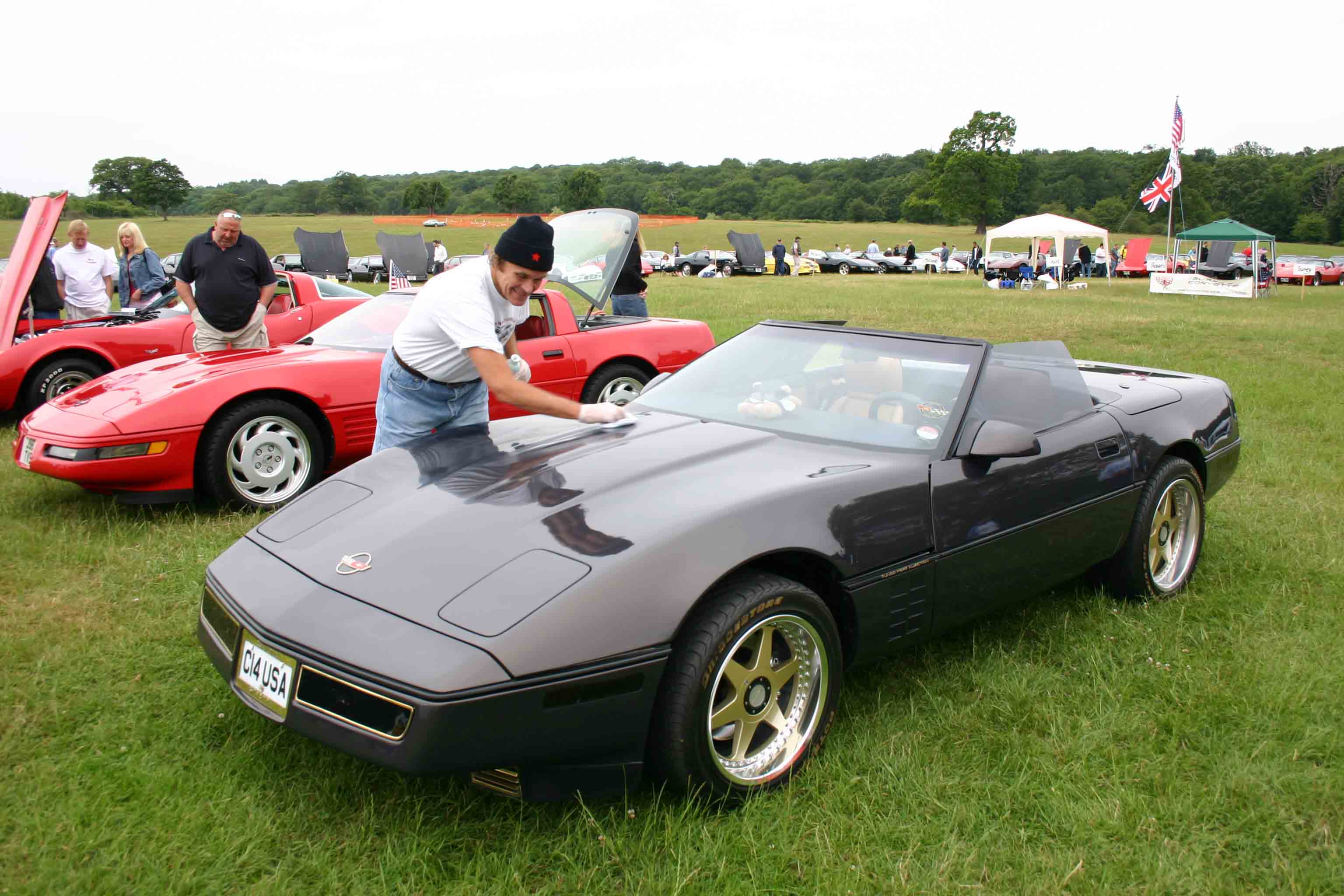 knebworth 205 039.jpg