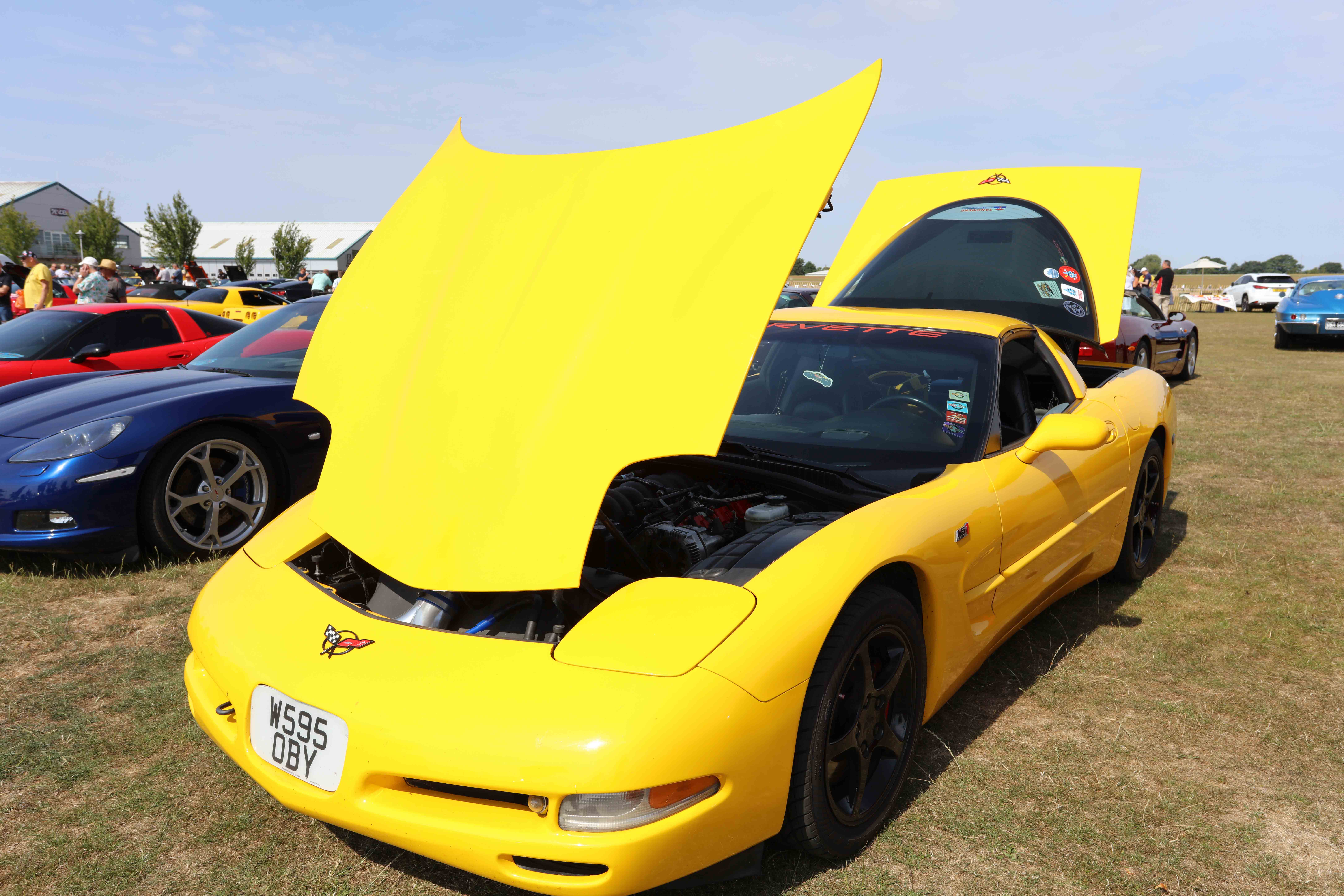 W595 YBE.jpg